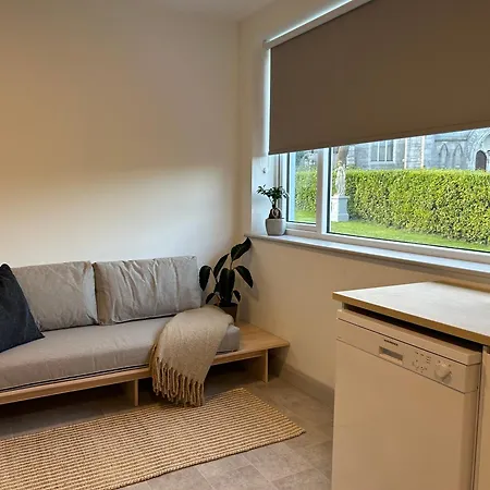 Iec Campus Apartamento Cork